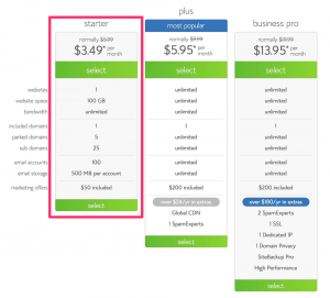 bluehost pricing options