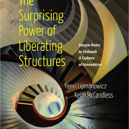 The Surprising Power of Liberating Structures: Simple Rules to Unleash A Culture of Innovation (English Edition)