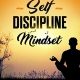 خرید کتاب Self Discipline Mindset: Why Self Discipline Is Lacking In Most And How To Unleash It Now (Habits, Willpower, Confidence, Emotional Intelligence Book 1)