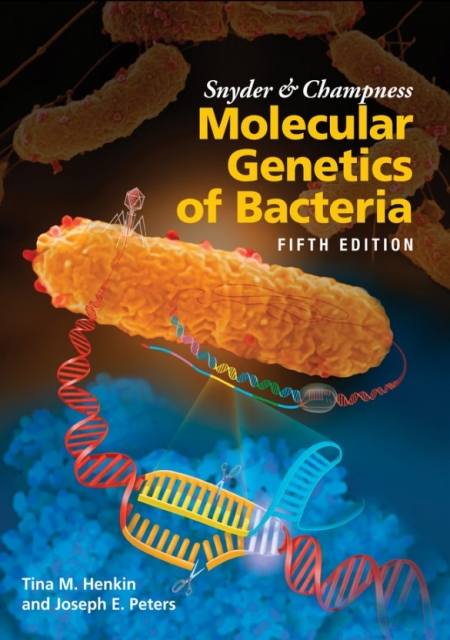 Snyder and Champness Molecular Genetics of Bacteria (ASM Books) 5th Edition خرید کتاب