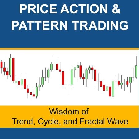 خرید کتاب Scientific Guide To Price Action and Pattern Trading: Wisdom of Trend, Cycle, and Fractal Wave