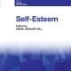 Self-Esteem (Current Issues in Social Psychology) 1st