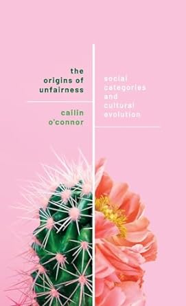 The Origins of Unfairness: Social Categories and Cultural Evolution