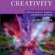 The Cambridge Handbook of Creativity (Cambridge Handbooks in Psychology) 2nd Edition