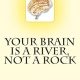 خرید کتاب Your Brain is a River, Not a Rock