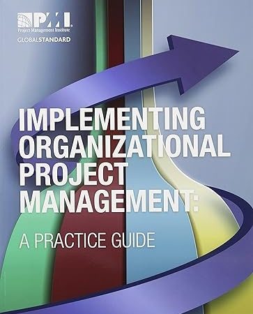 Implementing Organizational Project Management: A Practice Guide