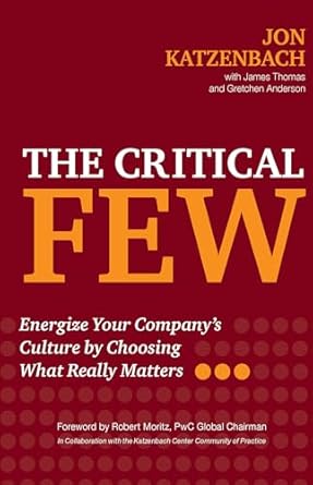 The Critical Few: Energize Your Company's Culture by Choosing What Really Matters