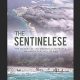 The Sentinelese: The History of the Uncontacted People on North Sentinel Island