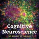 Cognitive Neuroscience: The Biology of the Mind Fifth Edition